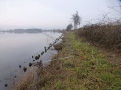 Anangeln 2018_02.jpg